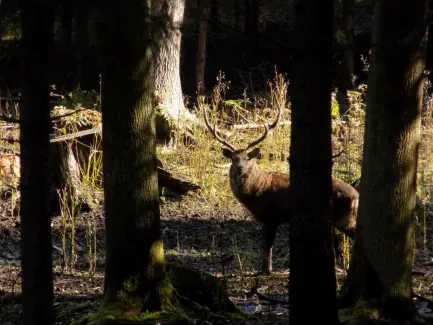 Přírodovědná procházka_4. A