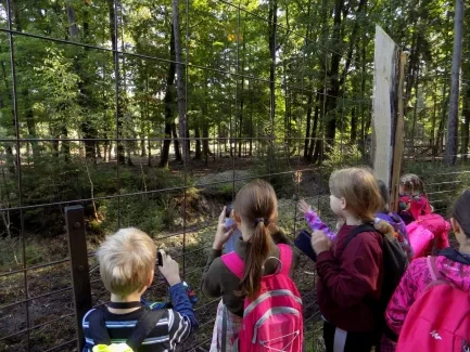 Přírodovědná procházka_4. A