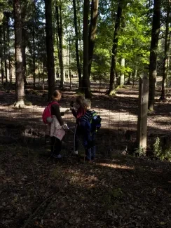 Přírodovědná procházka_4. A