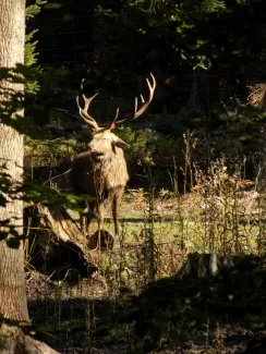 Přírodovědná procházka_4. A