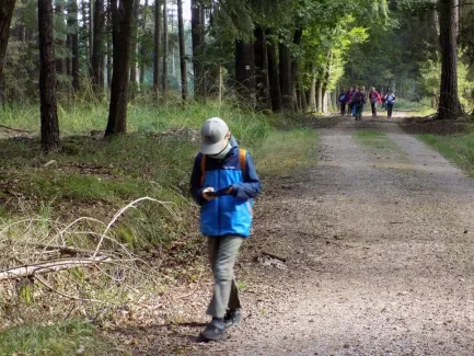 Přírodovědná procházka_4. A