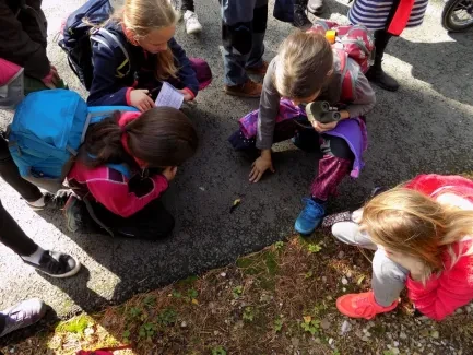 Přírodovědná procházka_4. A