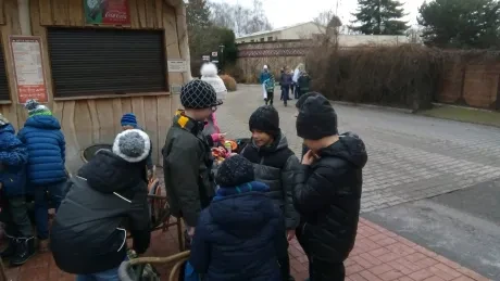 ZOO - Ozdob nám stromeček 2018