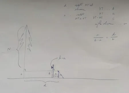 Měření výšky stromu_9. A