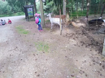 Výlet NHK_1. B