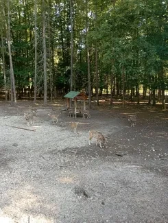Školní výlet_1. B