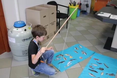 IQ Park Liberec - 3. A