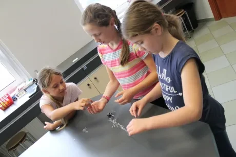 IQ Park Liberec - 3. A