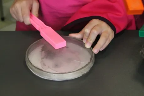 IQ Park Liberec - 3. A