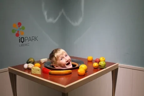 IQ Park Liberec - 3. A