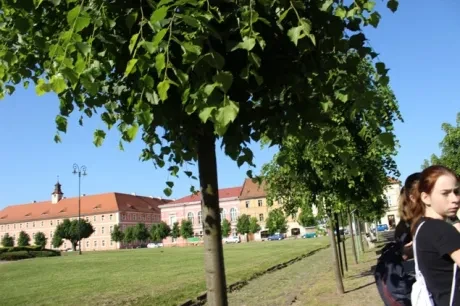 Historická exkurze do Terezína