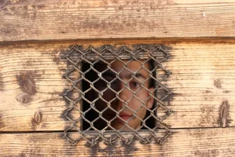 Historická exkurze do Terezína