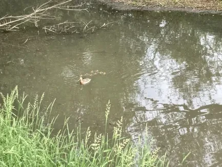 Škola v přírodě_5. A