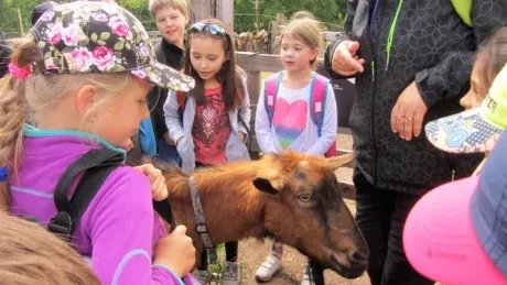 Škola v přírodě 1.B, 2.A - Janské Lázně (část 1)