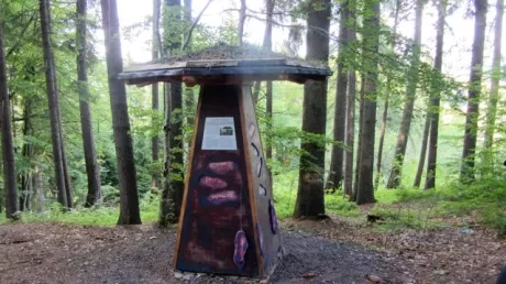 Škola v přírodě 1.B, 2.A - Janské Lázně (část 2)