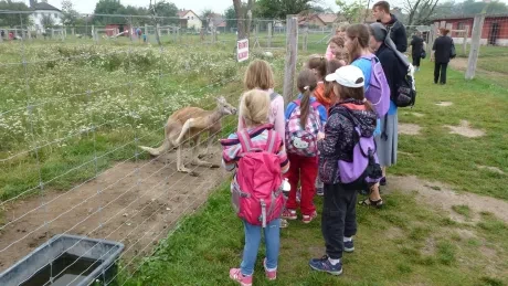 Příměstský tábor Noe