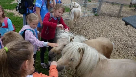 Příměstský tábor Noe