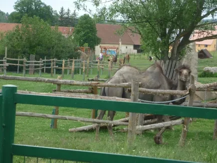 Škola v přírodě 1. A, 2. B, 4. A - Broumov (část 2)