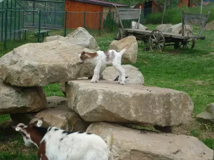 Škola v přírodě 1. A, 2. B, 4. A - Broumov (část 2)