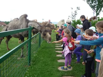 Škola v přírodě 1. A, 2. B, 4. A - Broumov (část 2)