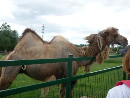 Škola v přírodě 1. A, 2. B, 4. A - Broumov (část 2)