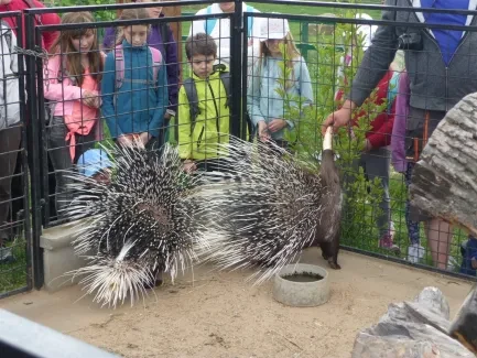 Škola v přírodě 1. A, 2. B, 4. A - Broumov (část 2)