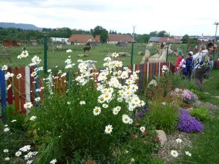 Škola v přírodě 1. A, 2. B, 4. A - Broumov (část 2)