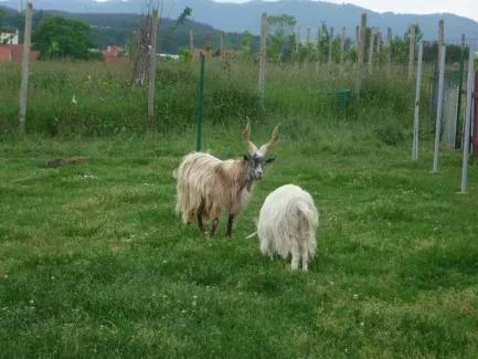 Škola v přírodě 1. A, 2. B, 4. A - Broumov (část 2)