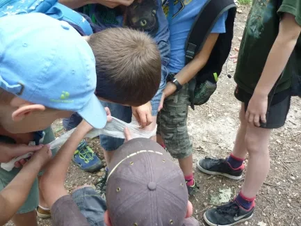 Školní pouť na Chlum