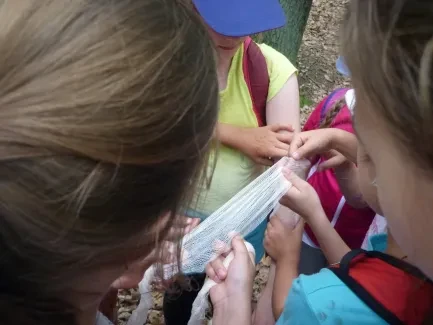 Školní pouť na Chlum