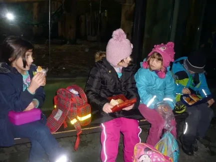 ZOO Dvůr Králové n. L.