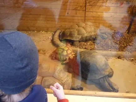 ZOO Dvůr Králové n. L.