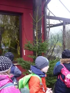 ZOO Dvůr Králové n. L.