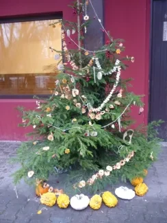 ZOO Dvůr Králové n. L.