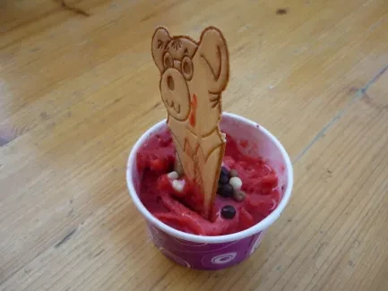 Dvojdeňák_1. B_Skuteč