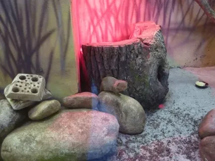 ZOO - Ozdob nám stromeček 2018