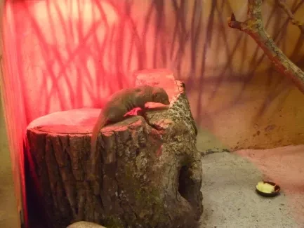 ZOO - Ozdob nám stromeček 2018