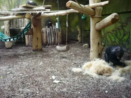 ZOO - Ozdob nám stromeček 2018