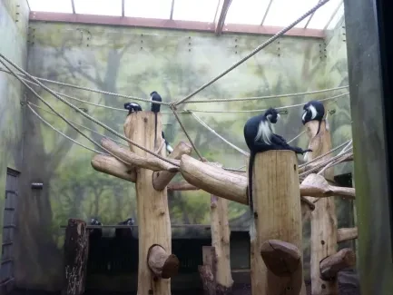 ZOO - Ozdob nám stromeček 2018