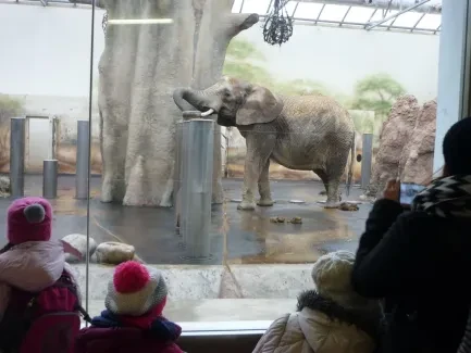 ZOO - Ozdob nám stromeček 2018