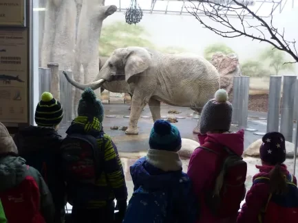 ZOO - Ozdob nám stromeček 2018