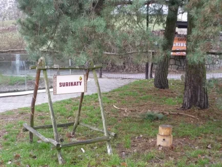 ZOO - Ozdob nám stromeček 2018