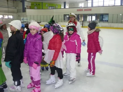 Karneval na ledě 2019