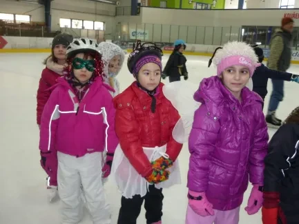 Karneval na ledě 2019