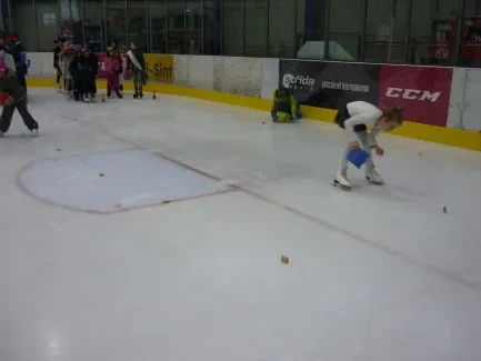 Karneval na ledě 2019