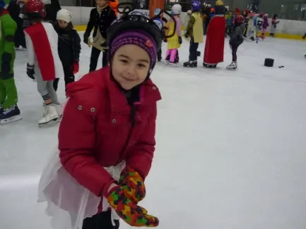 Karneval na ledě 2019