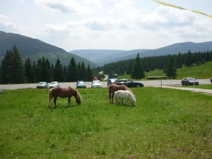 Škola v přírodě_2. A_část 1