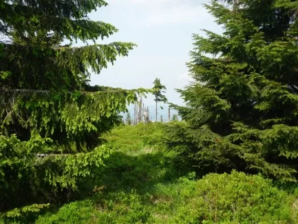 Škola v přírodě_2. A_část 1