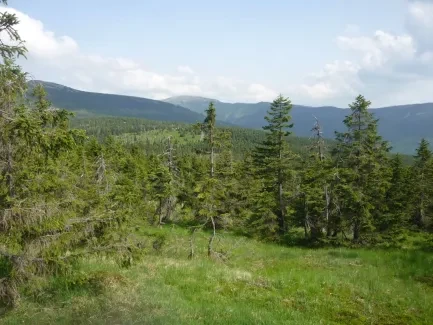 Škola v přírodě_2. A_část 1