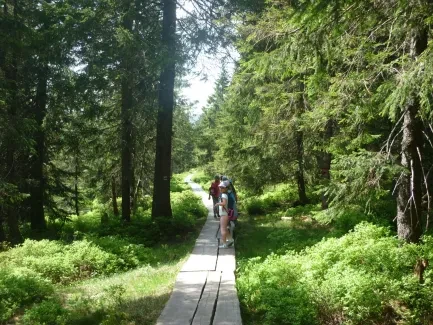 Škola v přírodě_2. A_část 1